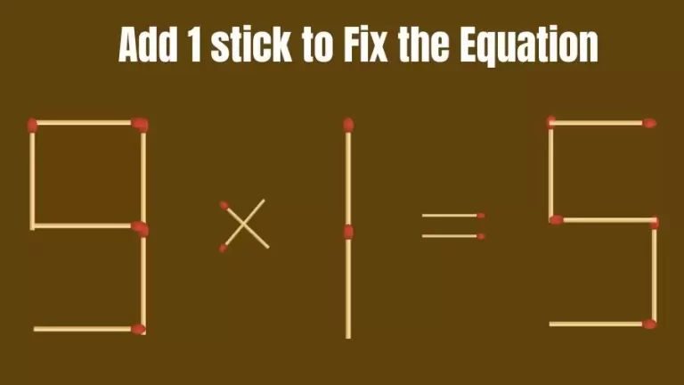Brain Teaser: 9x1=5 Add 1 Stick To Fix The Equation