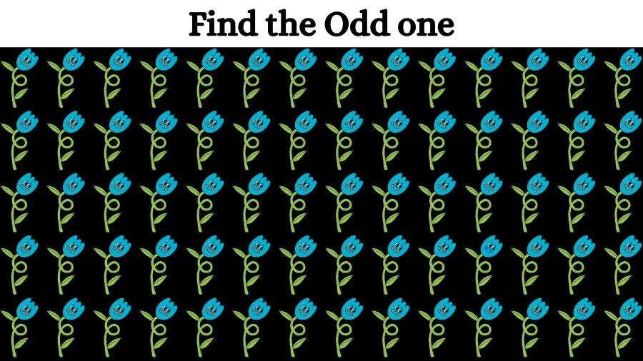 Only Genius Can Spot What Is Wrong in this Image In Just 10 Secs?
