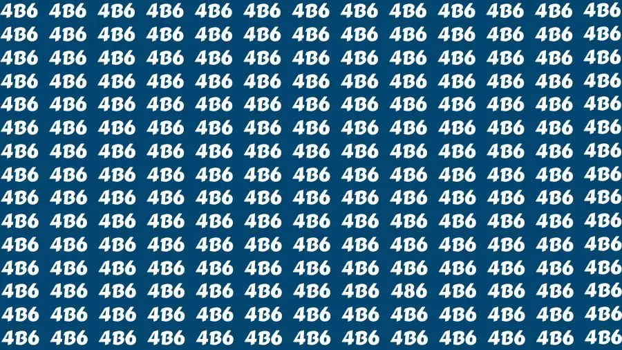 Do you have a sharp brain? Find the Number 486 in 18 Secs