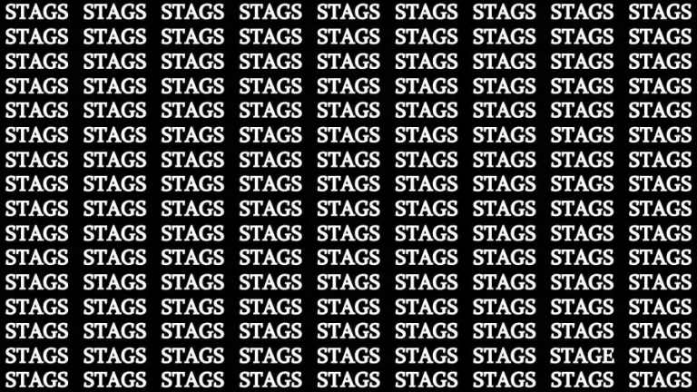You Have 50/50 Vision Find the Word Stage among Stags in 12 Secs