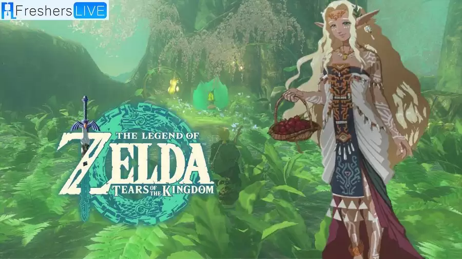 Zelda Tears of The Kingdom Walkthrough, Guide, Gameplay, and More