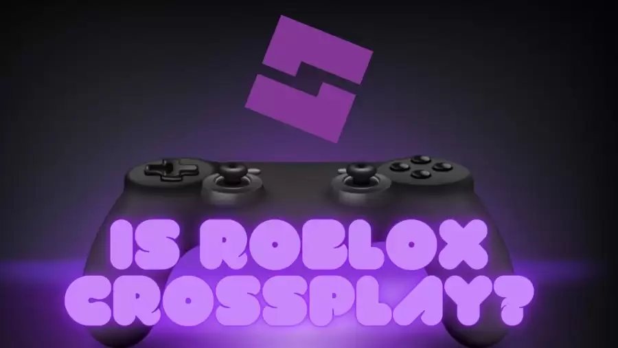 Is Roblox Crossplay? Roblox PS5 Crossplay Launched