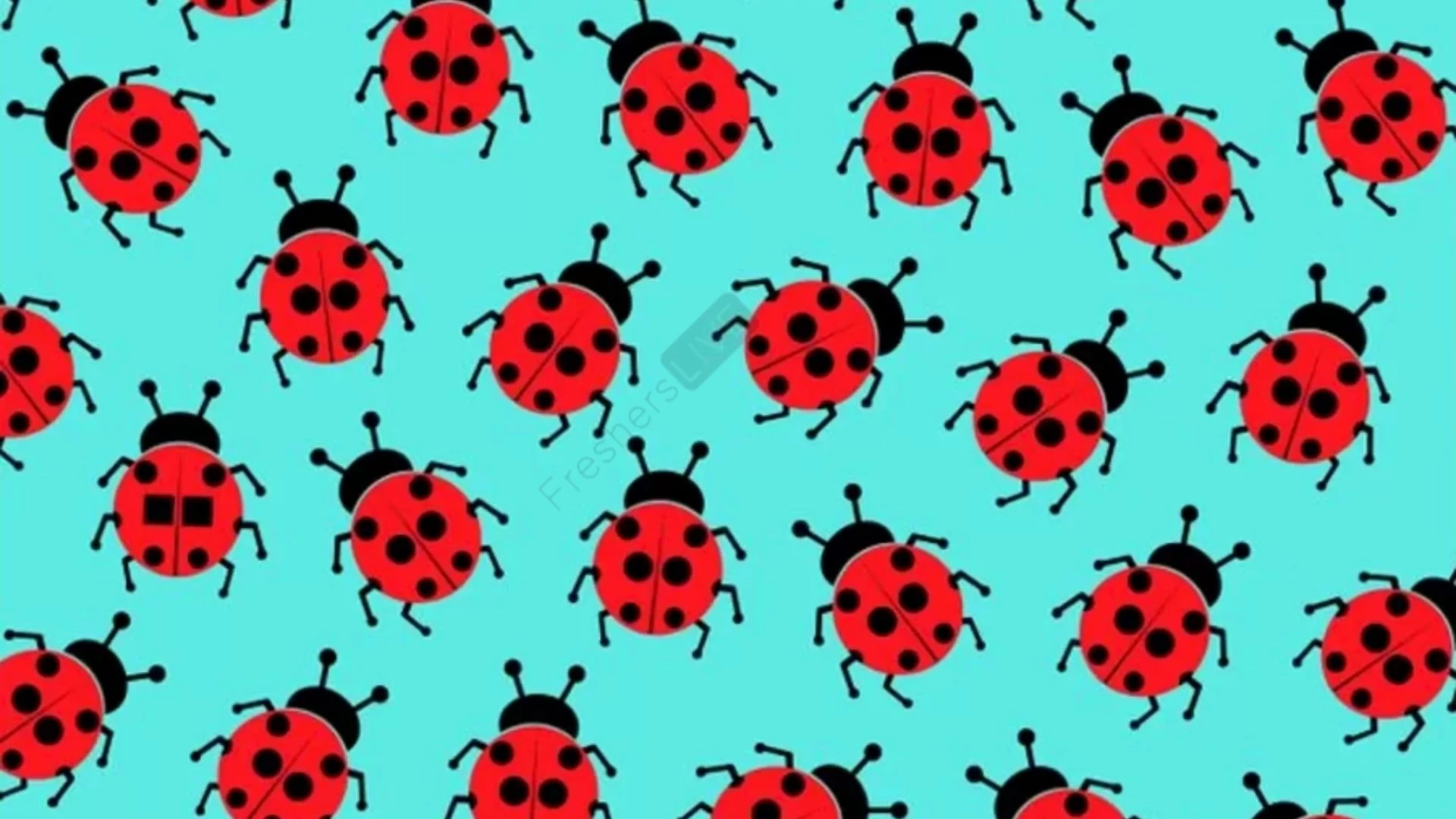 You are Intelligent If You Spot the Ladybug with Square Spots in Less than 10 Seconds
