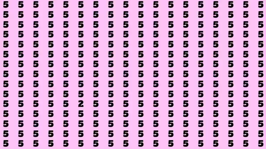 Optical Illusion Brain Challenge: If you have Sharp Eyes Find the number 2 among 5 in 12 Seconds?