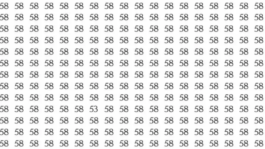 Optical Illusion Brain Test: If you have Eagle Eyes Find the number 53 among 58 in 7 Seconds?