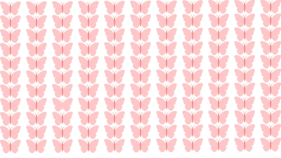 Optical Illusion Brain Test: If you have Sharp Eyes find the Odd Butterfly in 8 Seconds