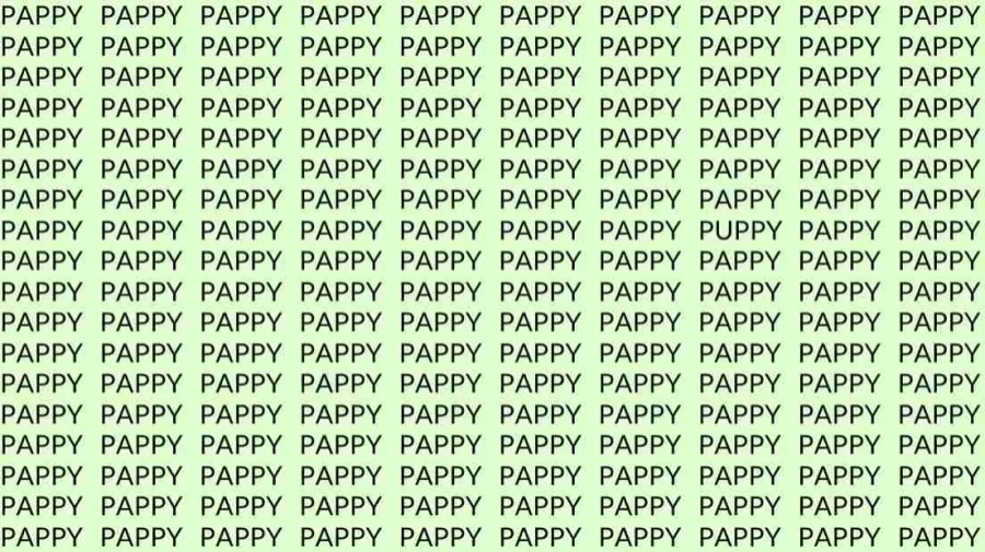 Observation Skills Test: If you have Eagle Eyes find the Word Puppy among Pappy in 12 Secs