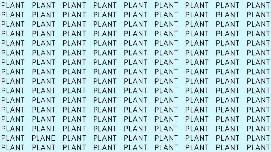 Optical Illusion Brain Test: If you have Eagle Eyes find the word Plane among Plant in 10 Secs