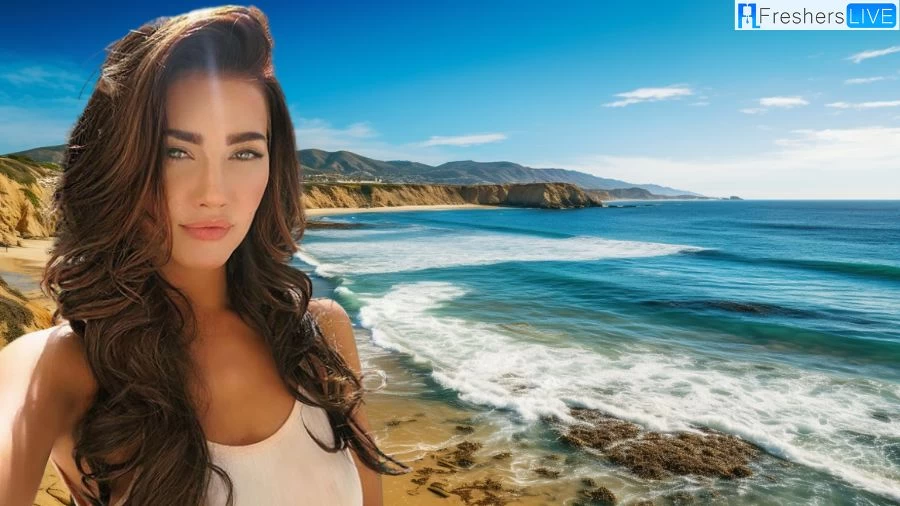 Is Steffy Leaving The Bold And The Beautiful? What Happened To Steffy?