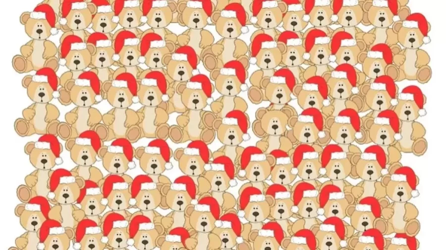 Optical Illusion Find And Seek: One of the Bears is not Wearing the Christmas Hat. Can you spot it within 12 Seconds?