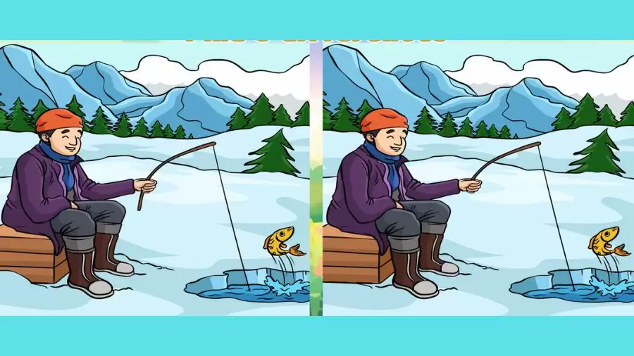 Can you Spot 5 Differences in these Pictures?