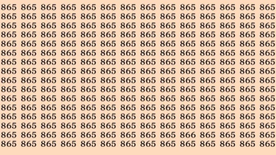 Observation Skills Test: Can you find the number 866 among 865 in 12 seconds?