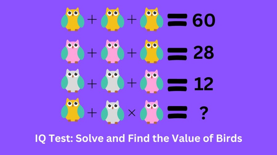 Brain Teaser IQ Test: Solve and Find the Value of Birds