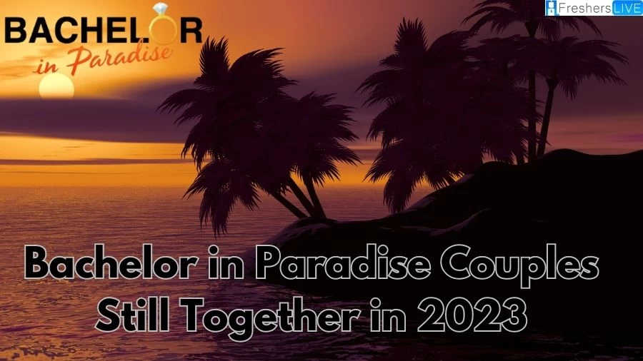 Bachelor in Paradise Couples Still Together in 2023, How to Watch Bachelor in Paradise?