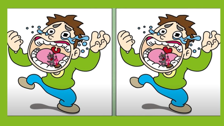 Brain Teaser Spot the Differences: Can you Spot 3 Differences between these Two Images? Picture Puzzle