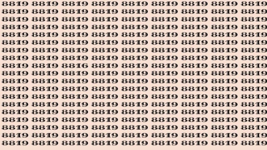 Can You Spot 8816 among 8819 in 10 Seconds? Explanation and Solution to the Optical Illusion