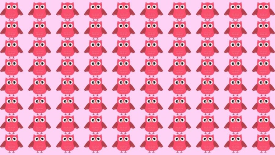 Observation Skill Test: Can you find the odd Owl in the picture within 10 seconds