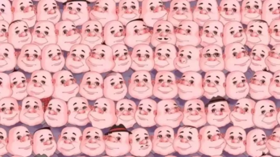 Optical Illusion: Can You Locate A Pig Hidden Among These Faces Within 10 Seconds?