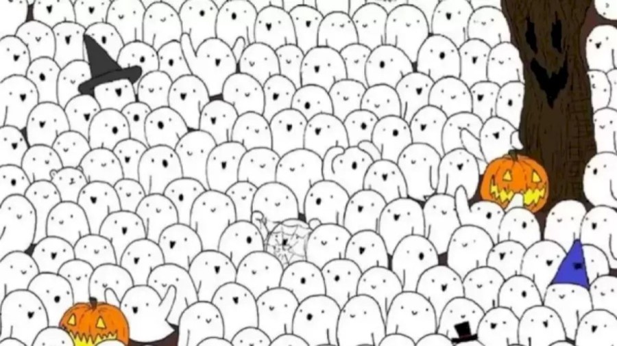 Test your visual skills by finding the hidden Rabbit among the Cats in 18 seconds
