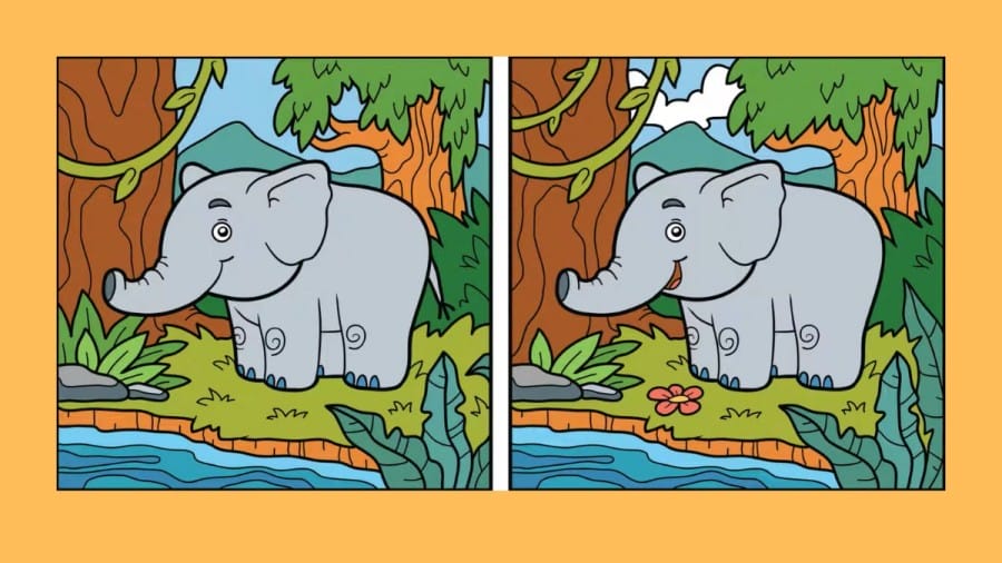 Only people with outstanding vision can spot 3 differences in the Elephant picture within 12 seconds