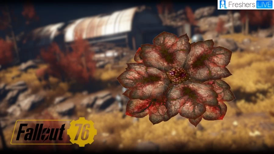 Where to Find Bloodleaf Fallout 76? Fallout 76 Bloodleaf Location