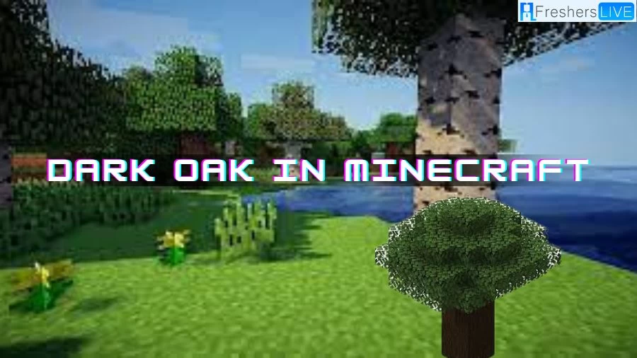 Where to Find Dark Oak in Minecraft?, How to Grow Dark Oak in Minecraft?