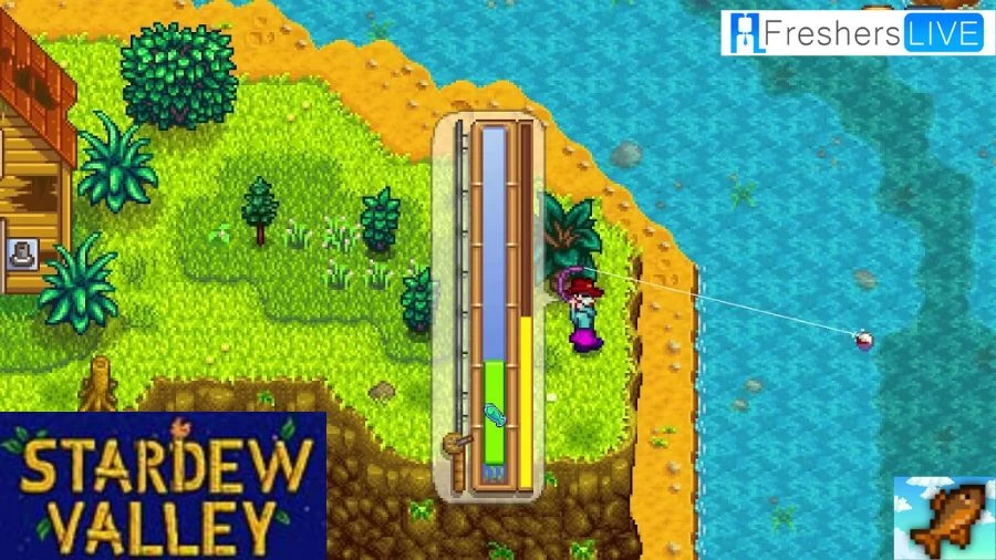 Where to Find Sunfish Stardew Valley? A Complete Guide