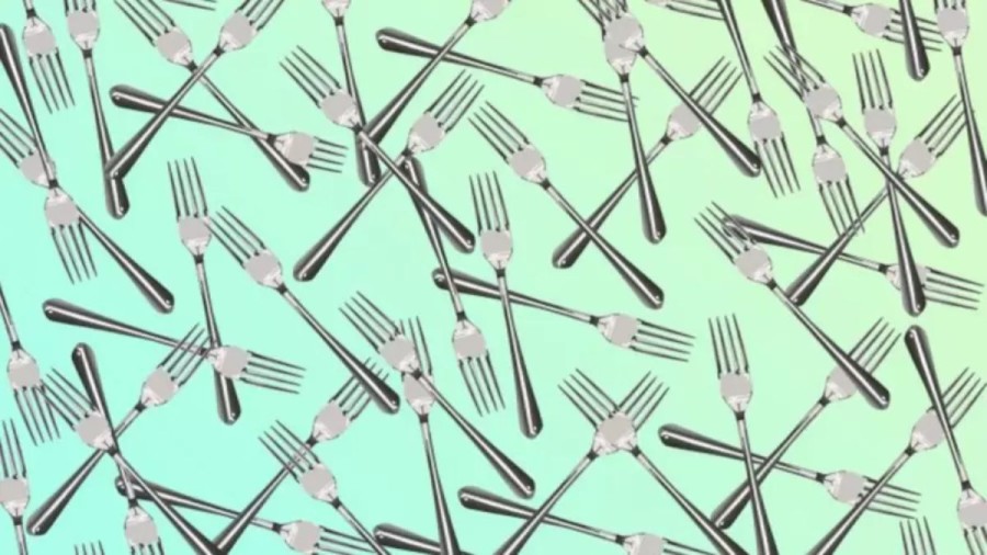 15 Seconds Optical Illusion Challenge! Identify The Odd Fork In This Picture