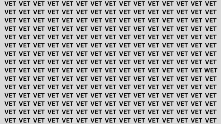 Brain Teaser: If you have Hawk Eyes Find the Word Wet among Vet in 15 Secs
