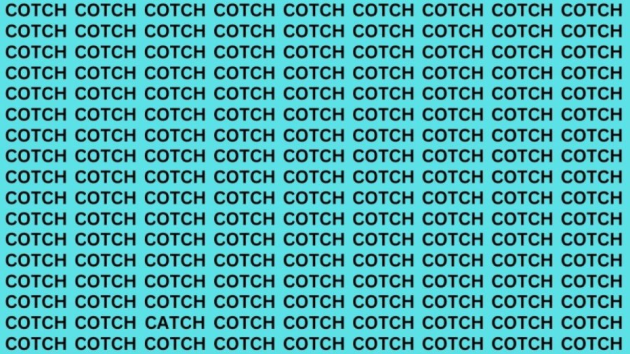 Brain Teaser: If you have Eagle Eyes Find the word Catch in 13 secs