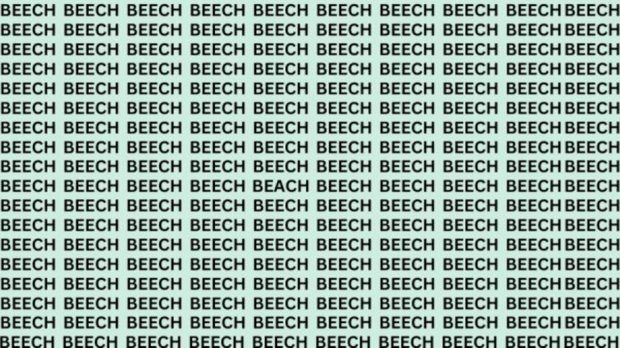 Optical Illusion Eye Test: If You Have Hawk Eyes Find The Word Beach Among Beech In 15 Secs