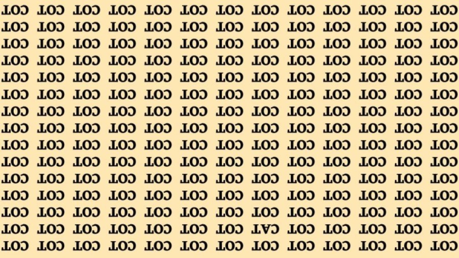 Brain Teaser: If You Have Sharp Eyes Find The Word Cat among Cot in 15 Secs