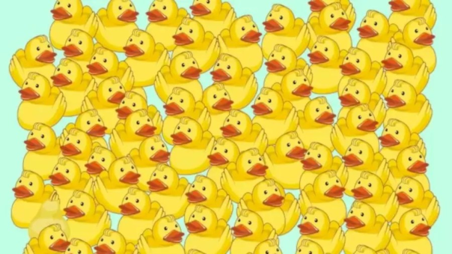 Optical Illusion Visual Test: If you have Eagle Eyes find the Pear Among these Ducks within 16 Seconds