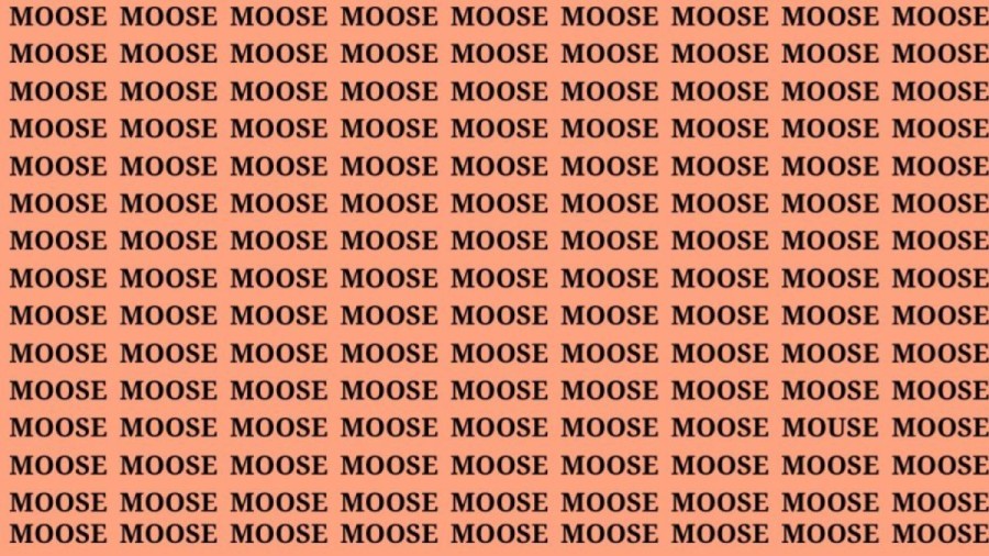 Brain Teaser: If You Have Hawk Eyes Find the Word Mouse in 15 Secs