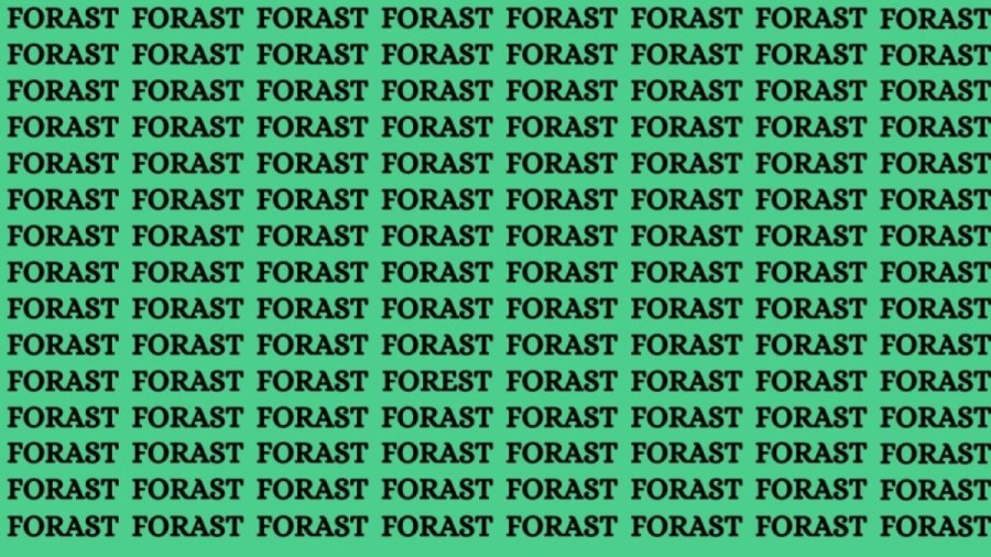 Brain Teaser: If You Have Eagle Eyes Find the Word Forest in 15 Secs