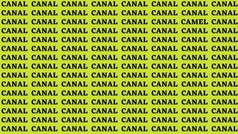 Brain Teaser: If You Have Sharp Eyes Find The Word Camel Among Canal in 20 Secs