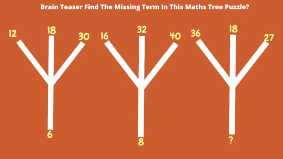 Brain Teaser: Can You Find The Missing Number In This Maths Tree Puzzle?