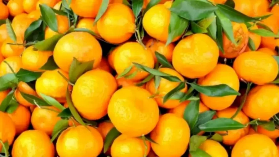 Can You Find The Hidden Flower Amid These Tangerines Within 15 Seconds? Explanation And Solution To The Hidden Flower Optical Illusion