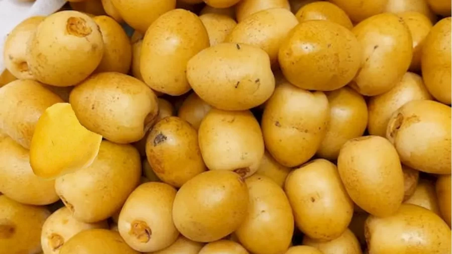 Optical Illusion Brain Test: You Are An Intelligent If You Locate The Mango Among These Potatoes Within 12 Seconds