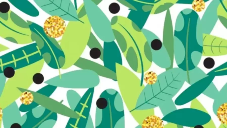 A Frog Is Hidden Among These Leaves, Can You Detect The Hidden Frog? Explanation And Solution To The Hidden Frog Optical Illusion