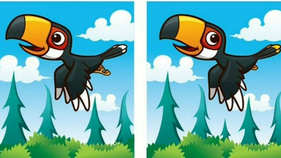 Brain Teaser: Can You Find 5 Differences Between These Two Pictures In 15 Secs?