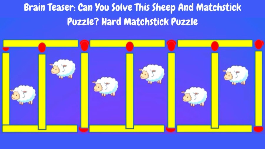 Brain Teaser: Can You Solve This Sheep And Matchstick Puzzle? Hard Matchstick Puzzle