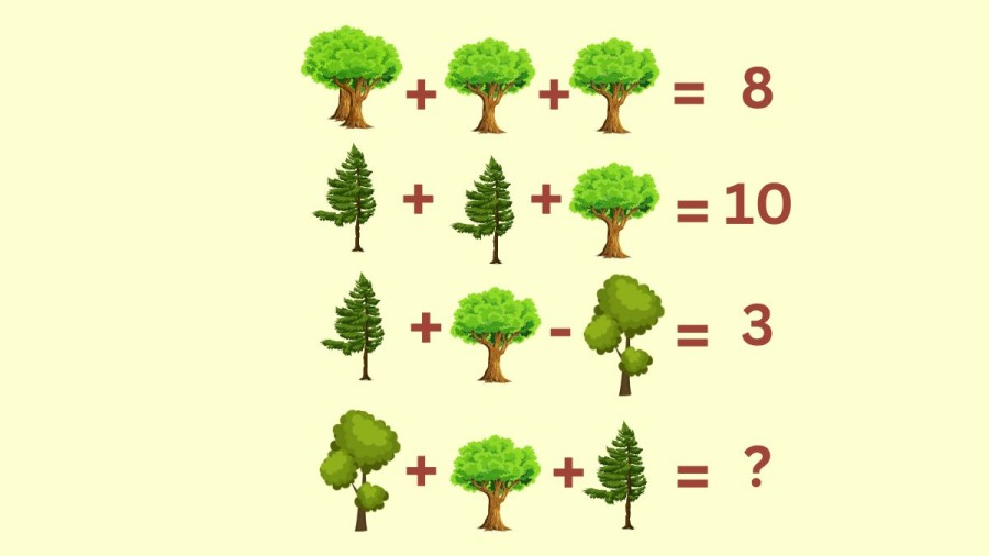 Brain Teaser: Can You Solve This Tree Math Puzzle?