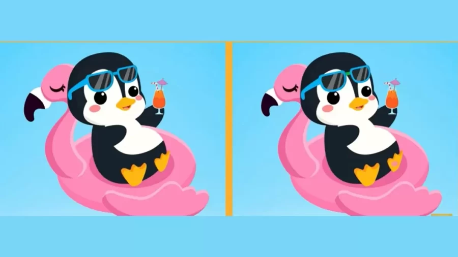 Brain Teaser: Can You Spot All 3 Differences In 30 Secs?