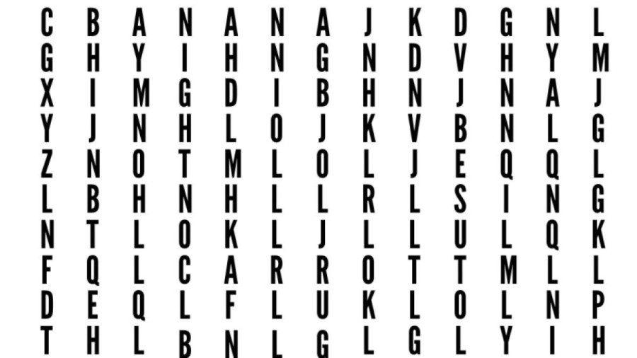 Brain Teaser: Can you find 6 hidden words in the image within 20 seconds?