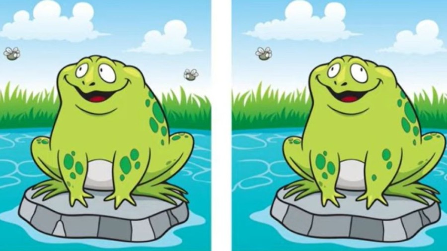 Brain Teaser Eye Test: Can You Spot 5 Differences In 35 Secs?