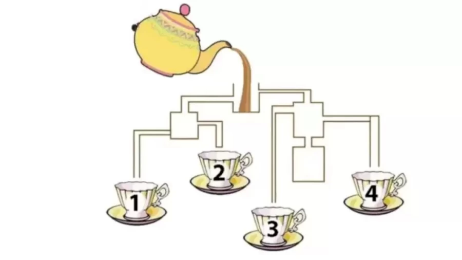 Brain Teaser: Find Out Which Cup Will Fill First In Picture In 20 Secs - Maths Puzzle