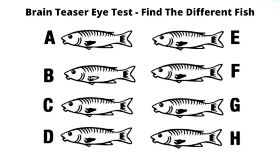 Brain Teaser: Find The Different Fish