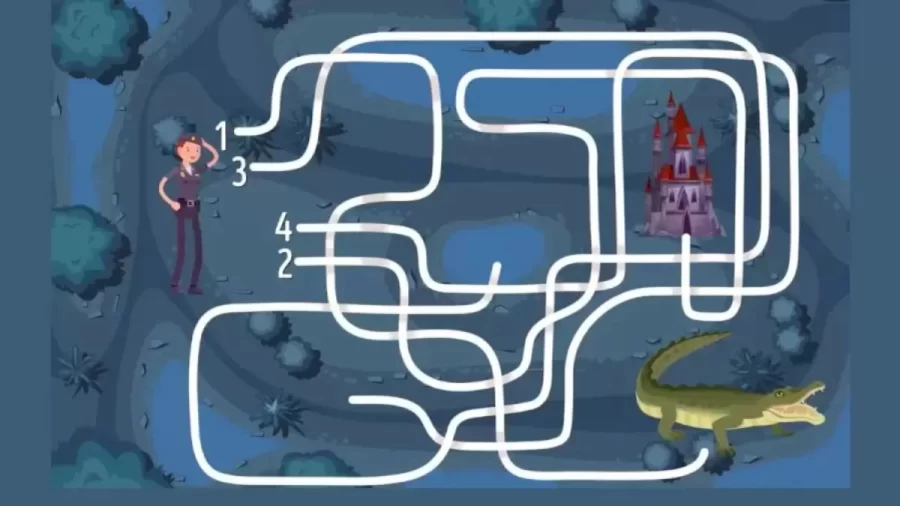 Brain Teaser IQ Test: Can You Find The Safest Route that Will Reach The Castle? Picture Puzzle