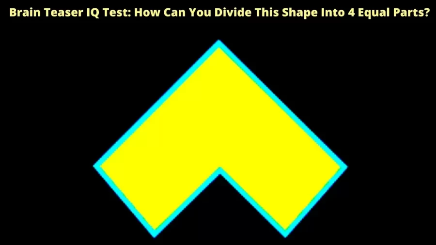 Brain Teaser IQ Test: How Can You Divide This Shape Into 4 Equal Parts?
